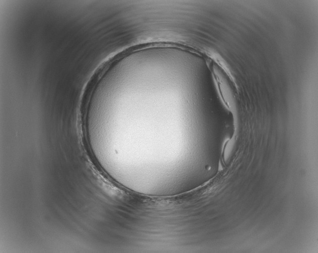 X0000075401072200609251012