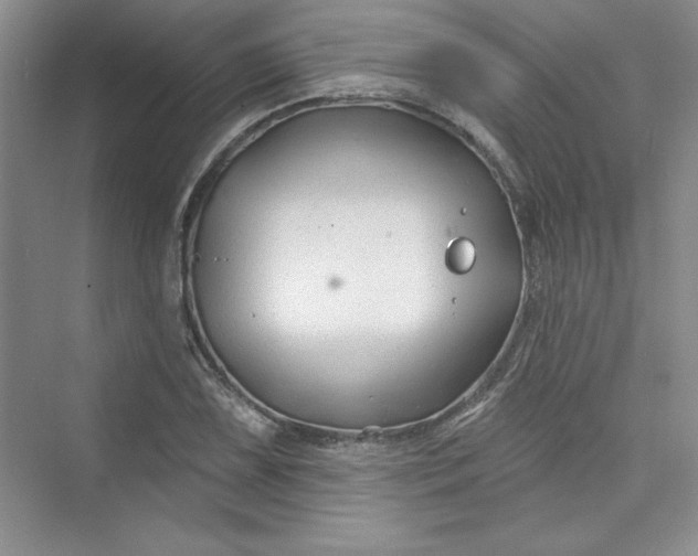 X0000075401075200609251012