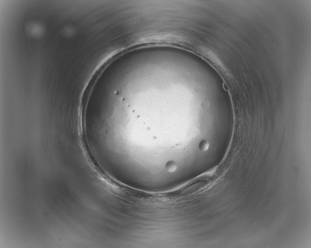 X0000075401079200609251012