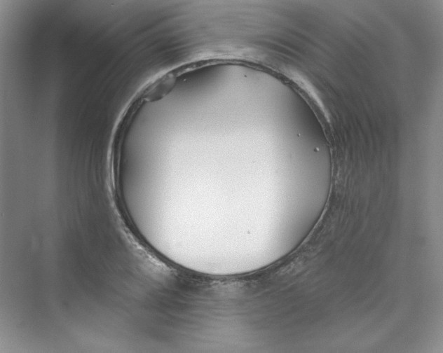 X0000075401080200609251012