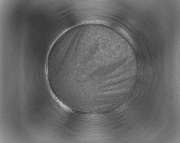 X0000075401084200609251012