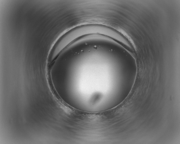 X0000075401085200609251012