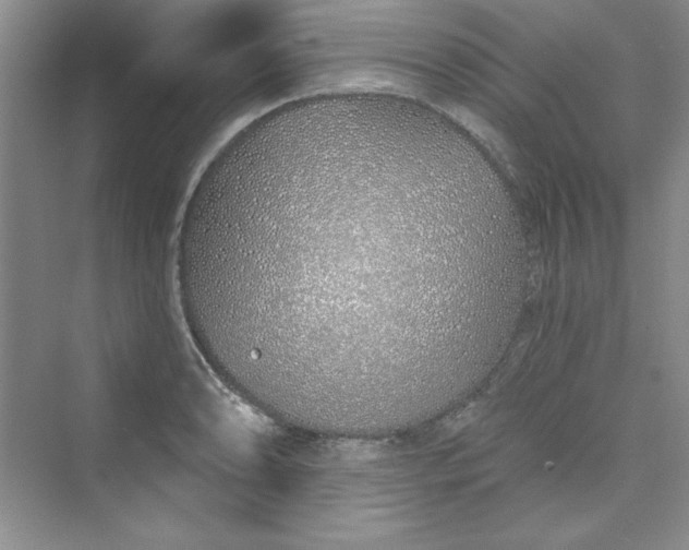 X0000075401086200609251012