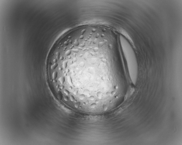 X0000075401087200609251012