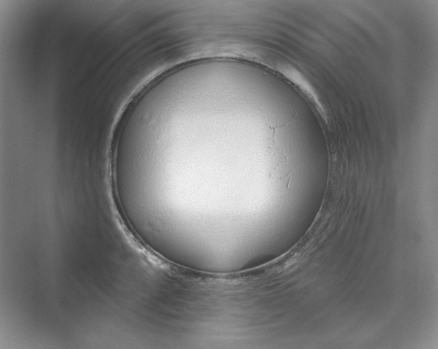 X0000075401088200609251012