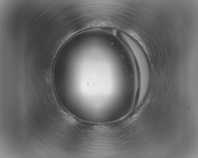 X0000075401089200609251012