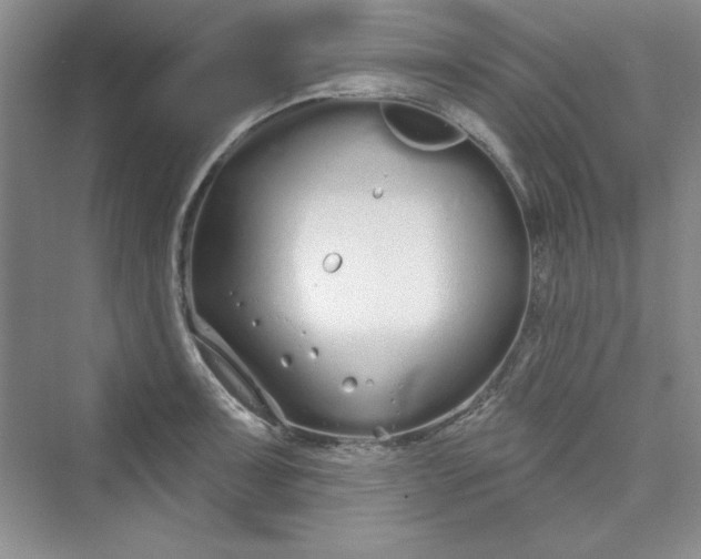 X0000075401091200609251012