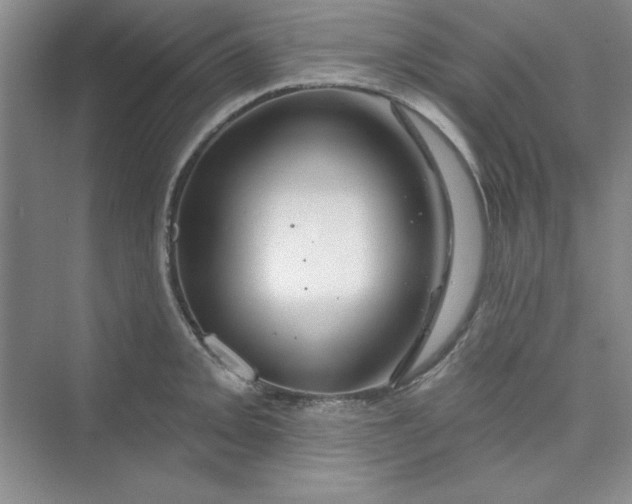 X0000075401093200609251012