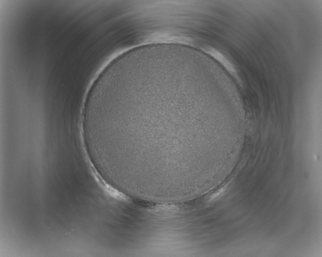 X0000075401094200609251012