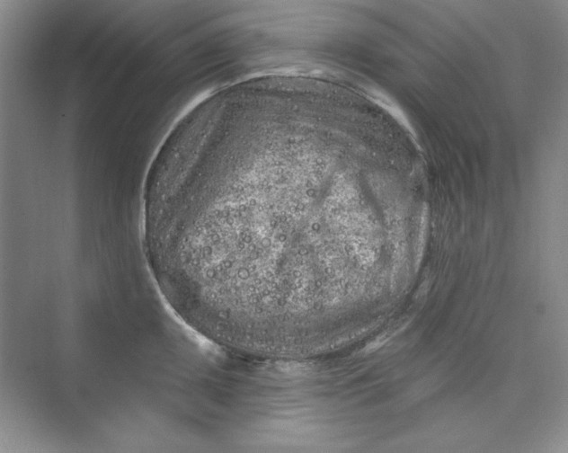 X0000075401095200609251012