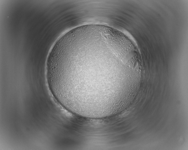 X0000075401096200609251012