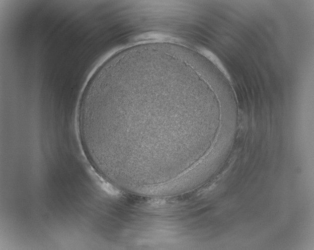 X0000075401098200609251012