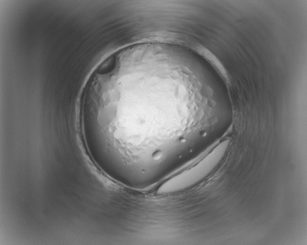 X0000075401099200609251012