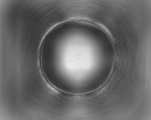 X0000075401102200609251012