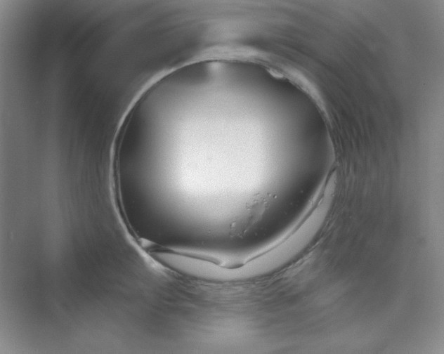 X0000075401103200609251012