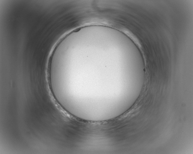 X0000075401104200609251012