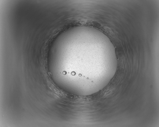 X0000075401105200609251011