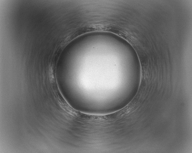 X0000075401106200609251011