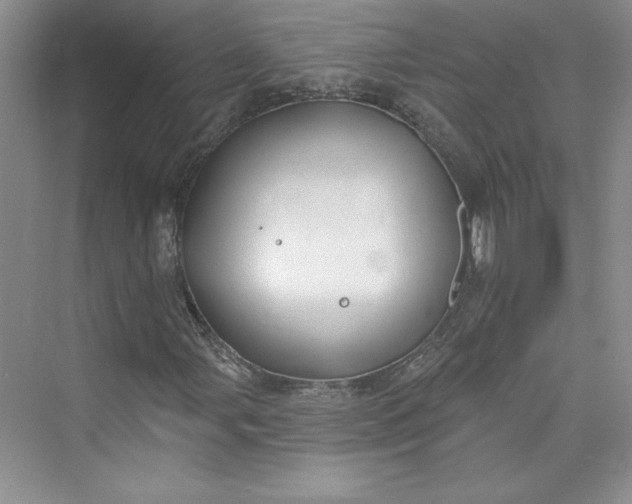 X0000075401107200609251011