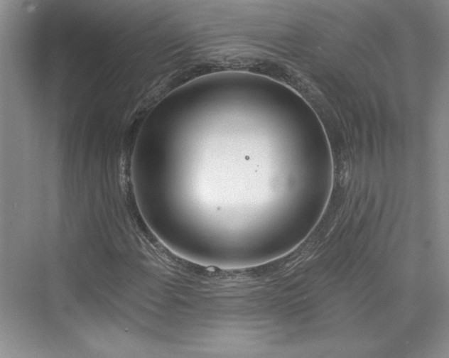 X0000075401108200609251011