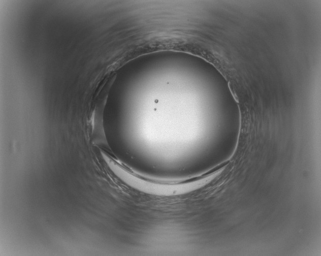 X0000075401109200609251011