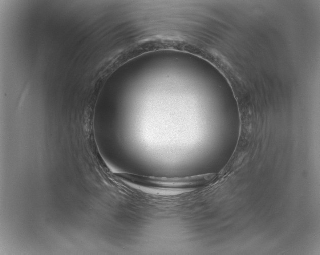 X0000075401110200609251011