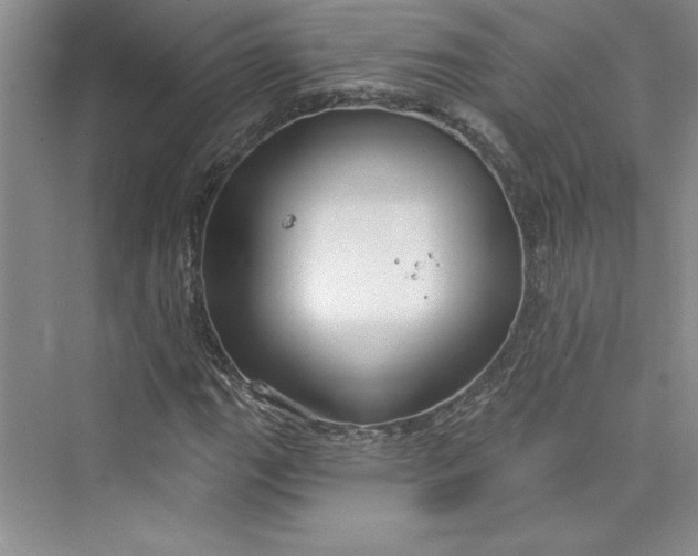 X0000075401111200609251011