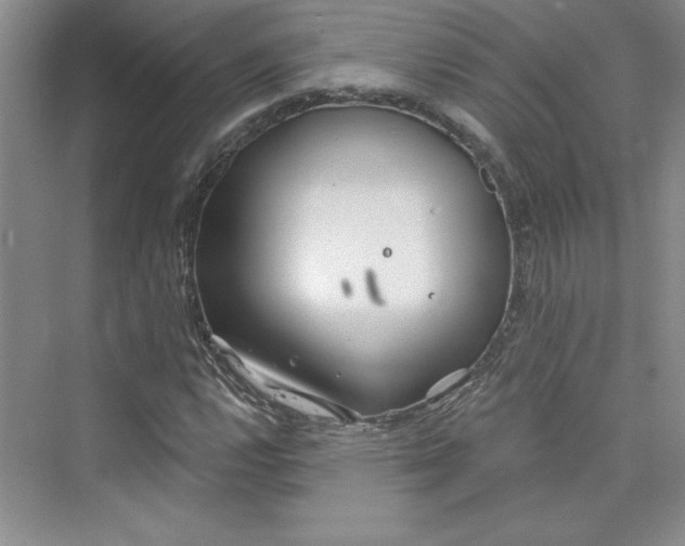 X0000075401112200609251011