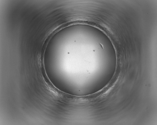 X0000075401113200609251011