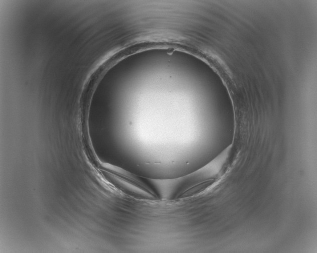 X0000075401114200609251011