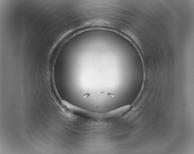 X0000075401115200609251011