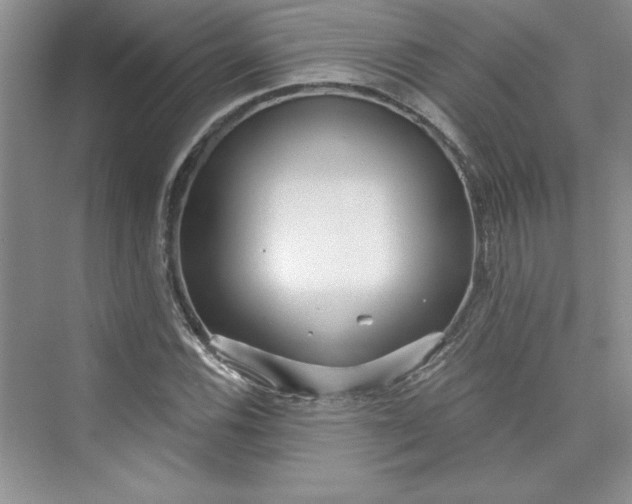 X0000075401116200609251011