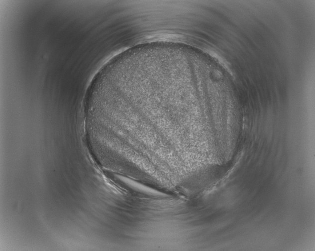 X0000075401117200609251011