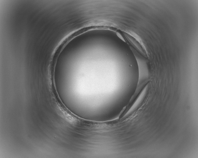 X0000075401120200609251011