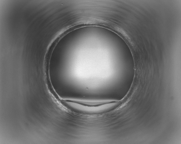 X0000075401122200609251011