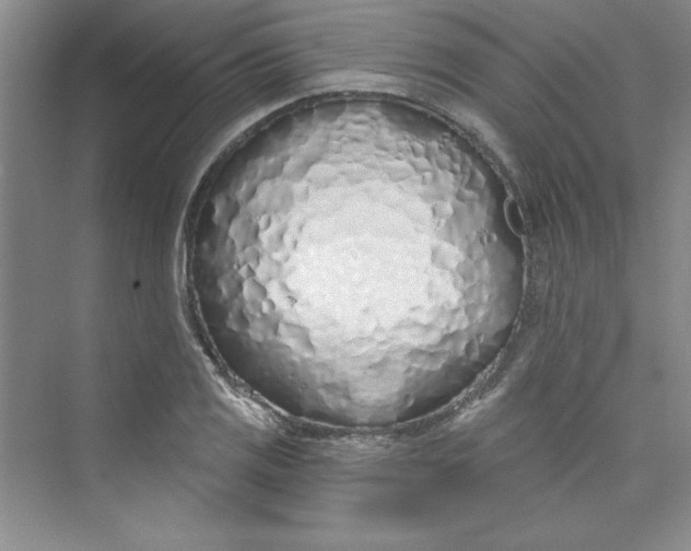 X0000075401125200609251011