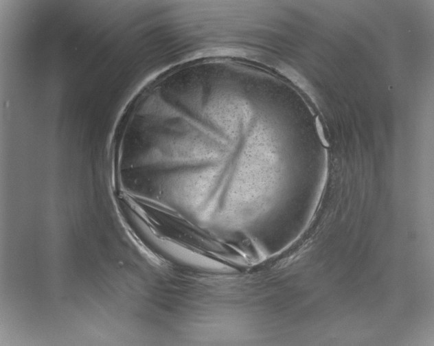 X0000075401127200609251011