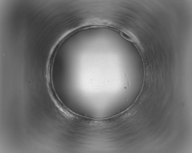 X0000075401128200609251011