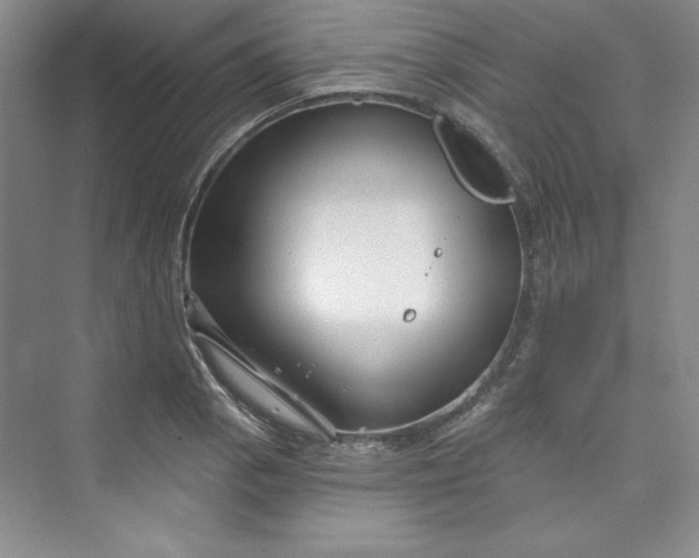 X0000075401129200609251011