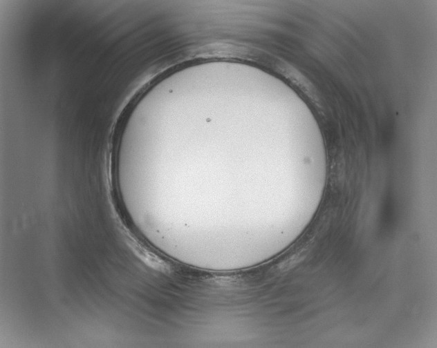 X0000075401130200609251011