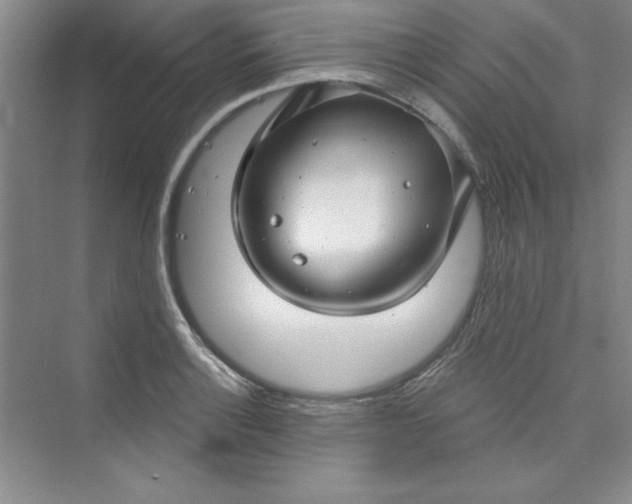 X0000075401132200609251011