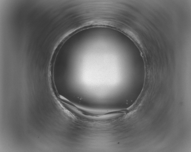 X0000075401133200609251011