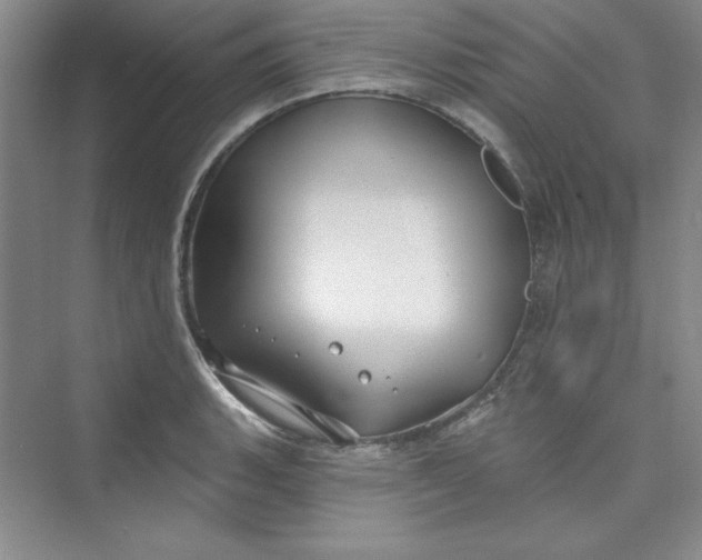 X0000075401135200609251011