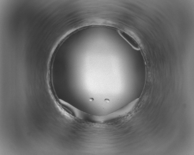 X0000075401136200609251011