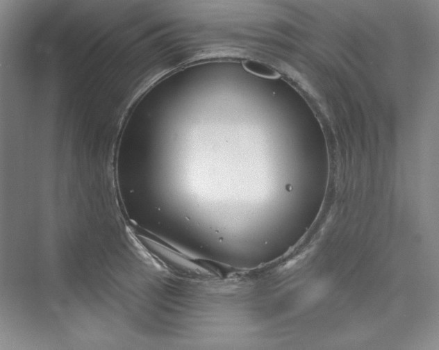 X0000075401137200609251011