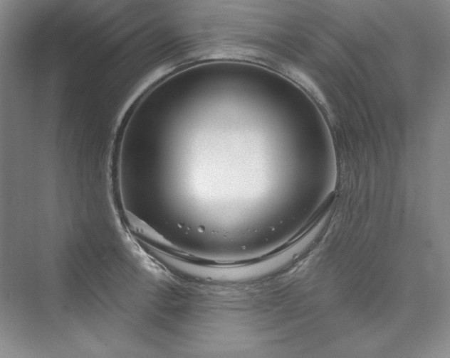 X0000075401138200609251011