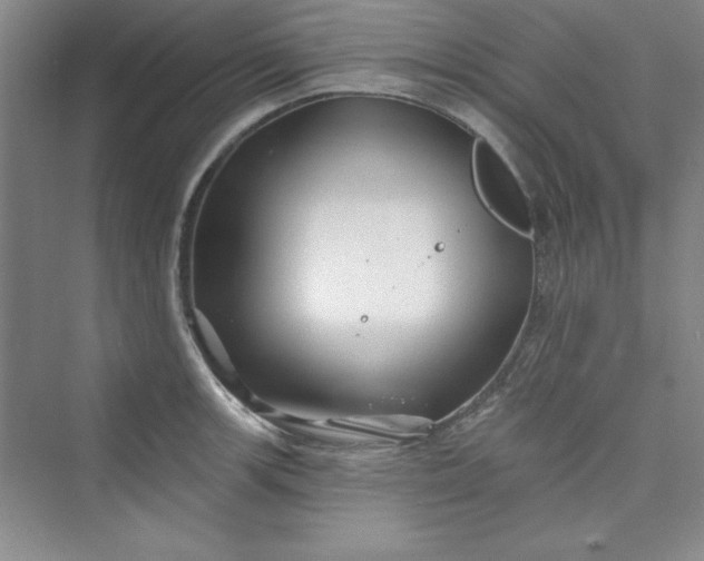 X0000075401139200609251011