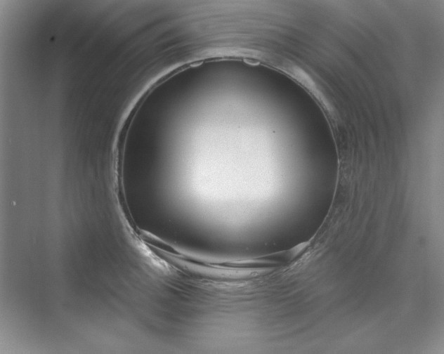 X0000075401140200609251011