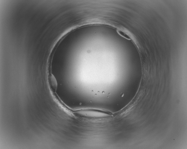 X0000075401142200609251011