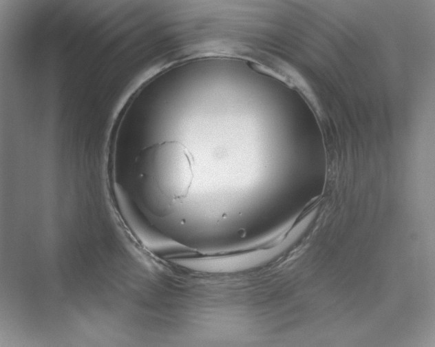 X0000075401146200609251012